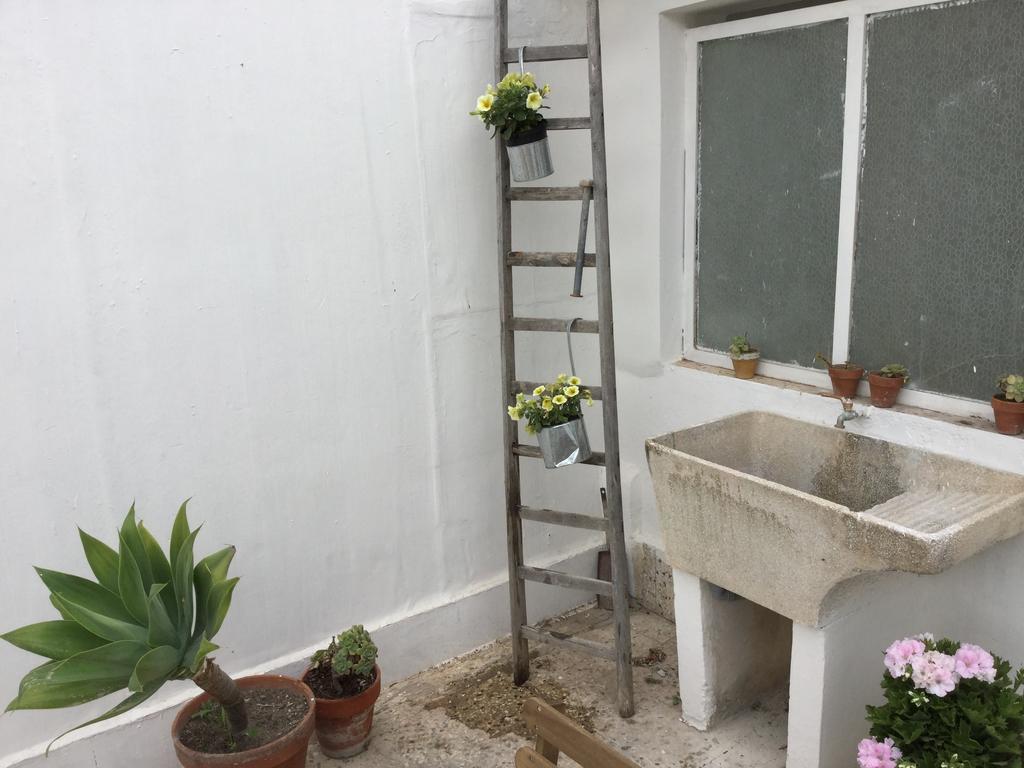 הוילה נוטו Case Vacanze Le Rose מראה חיצוני תמונה