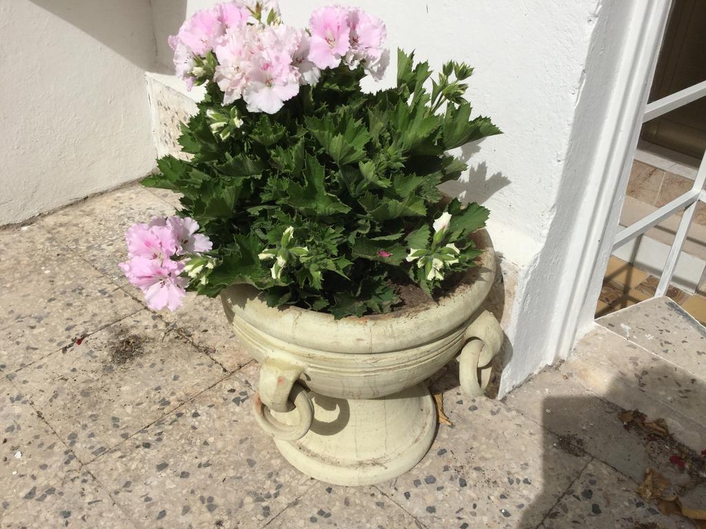 הוילה נוטו Case Vacanze Le Rose מראה חיצוני תמונה