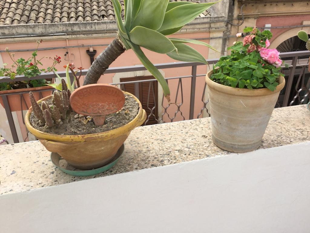 הוילה נוטו Case Vacanze Le Rose מראה חיצוני תמונה